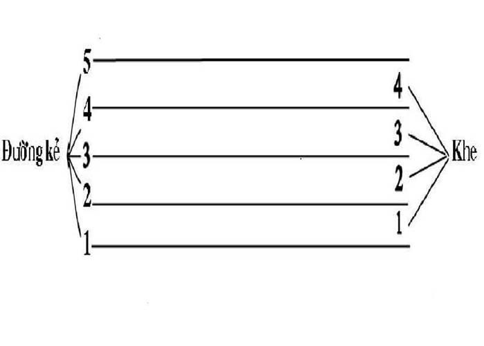 Khuông nhạc được chia thành 5 dòng và 4 khe